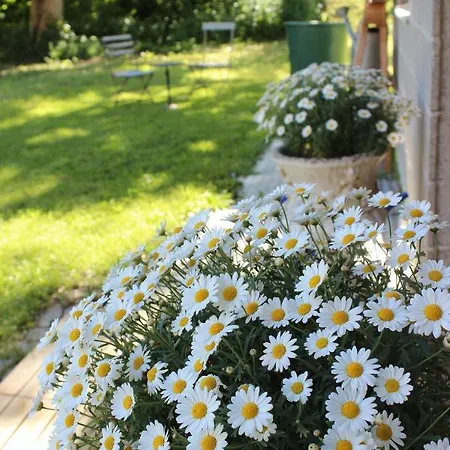 Paclera79 Bed & Breakfast