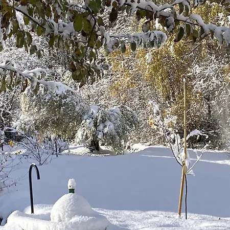 Bed & Breakfast Paclera79 *