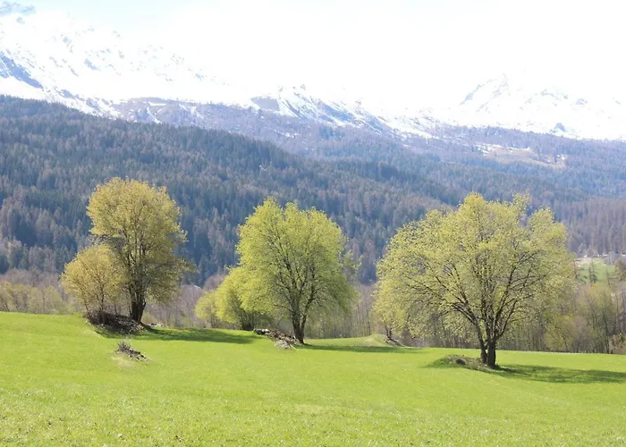 Bed & Breakfast Paclera79 *