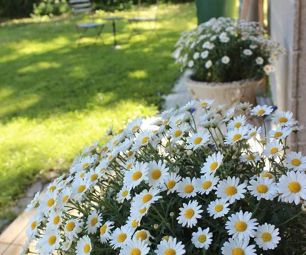 Paclera79 Bed & Breakfast