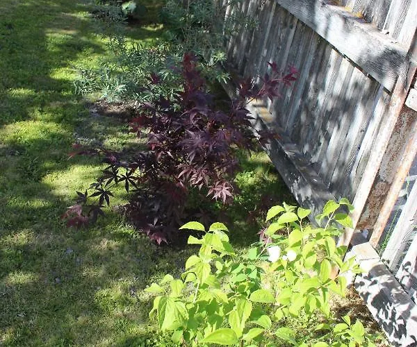 Bed & Breakfast Paclera79 Santa Maria Val Müstair