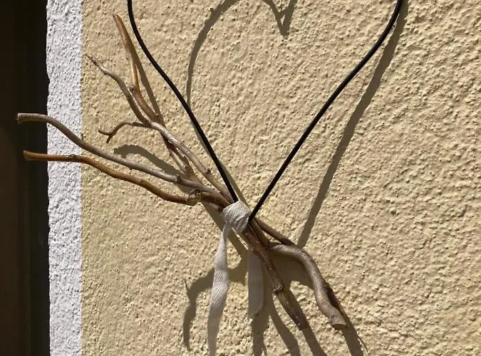 Bed & Breakfast Paclera79 *