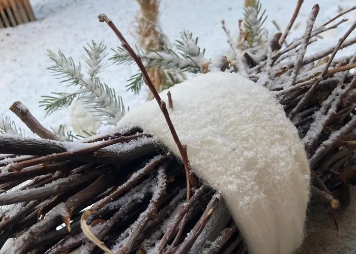 Bed & Breakfast Paclera79